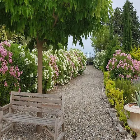 Modern In Camplong With Private Pool * Félines-Minervois