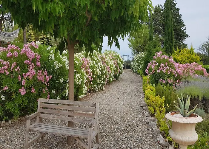 Modern In Camplong With Private Pool * Félines-Minervois